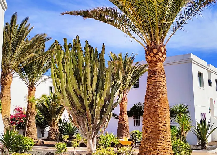 아파트 Flor De Dunas Pools Wifi Tennis Fibra 600mb *