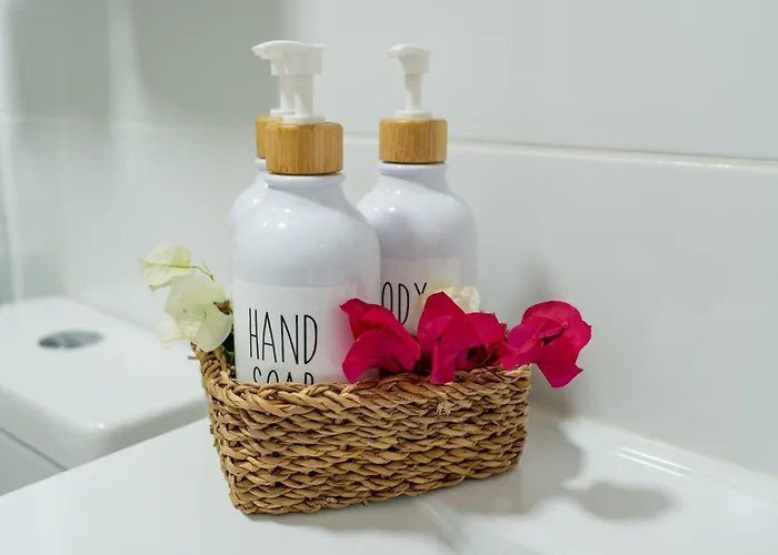 Flor De Dunas Pools Wifi Tennis Fibra 600mb 코라레호